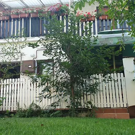 Daire Peace Oaza Kikinda